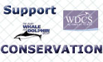 Support Dolphin Conservation with IWDG and WDCS
