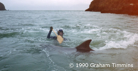 Alfie Hughes playing the paddle game with the dolphin