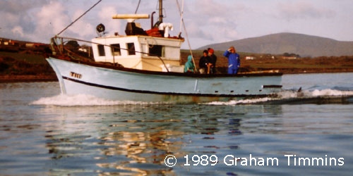 Joe Ryle was possibly the first local fishermen to take visitors out to see the dolphin. Fungie is in the stern wake but no-one on board appears to have spotted him yet!