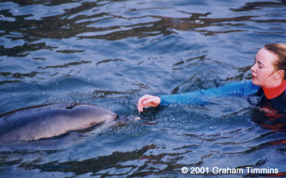 Dony with swimmer, Dunquin June 2001