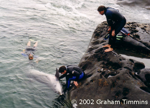 Ute in the water, Julie with Dusty, Keith on the rocks